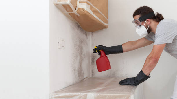 Professional Black Mold Remediation technician working in New Milford, NJ