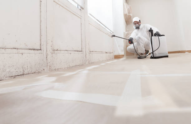 24/7 Emergency Black Mold Remediation experts in New Milford, NJ