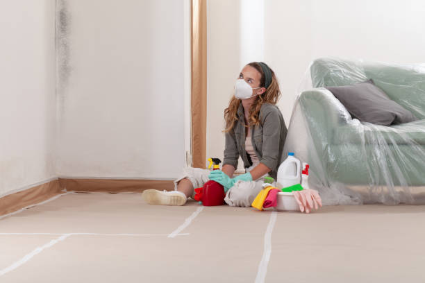Reliable Black Mold Remediation contractor in New Milford, NJ by Car Mold Remediation